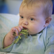 Bijvoeding